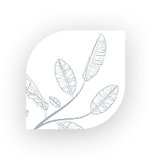 plant_element_smaller